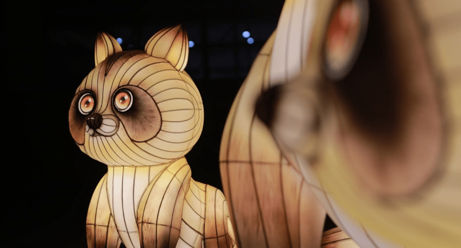 Un parcours lumineux en 3 étapes