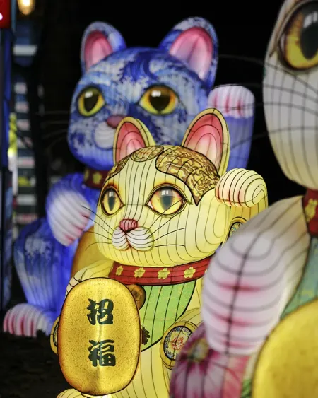 Le Japon en Lumières gallery