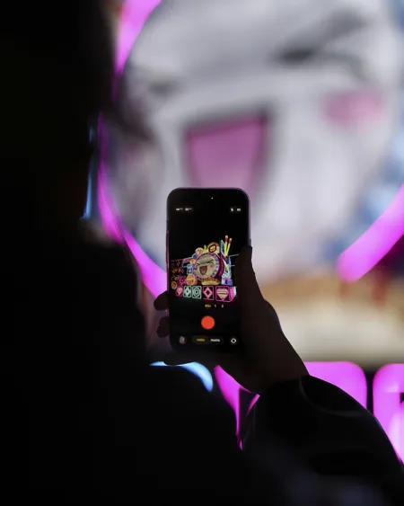 Le Japon en Lumières gallery