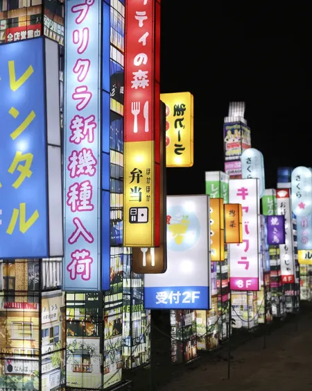 Le Japon en Lumières gallery