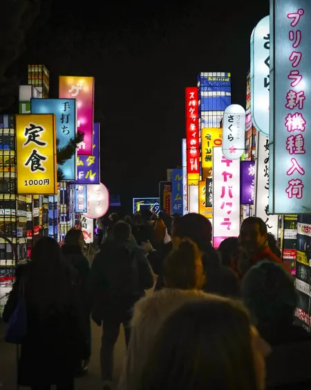 Le Japon en Lumières gallery